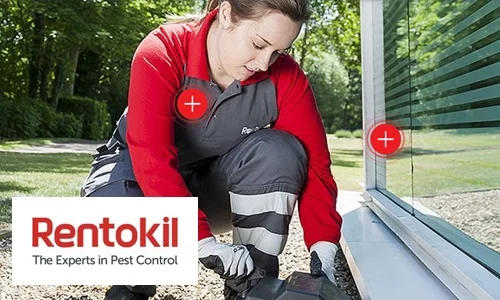 http://Lady%20outside%20bending%20down%20&%20looking%20at%20what%20rodent%20has%20been%20trapped