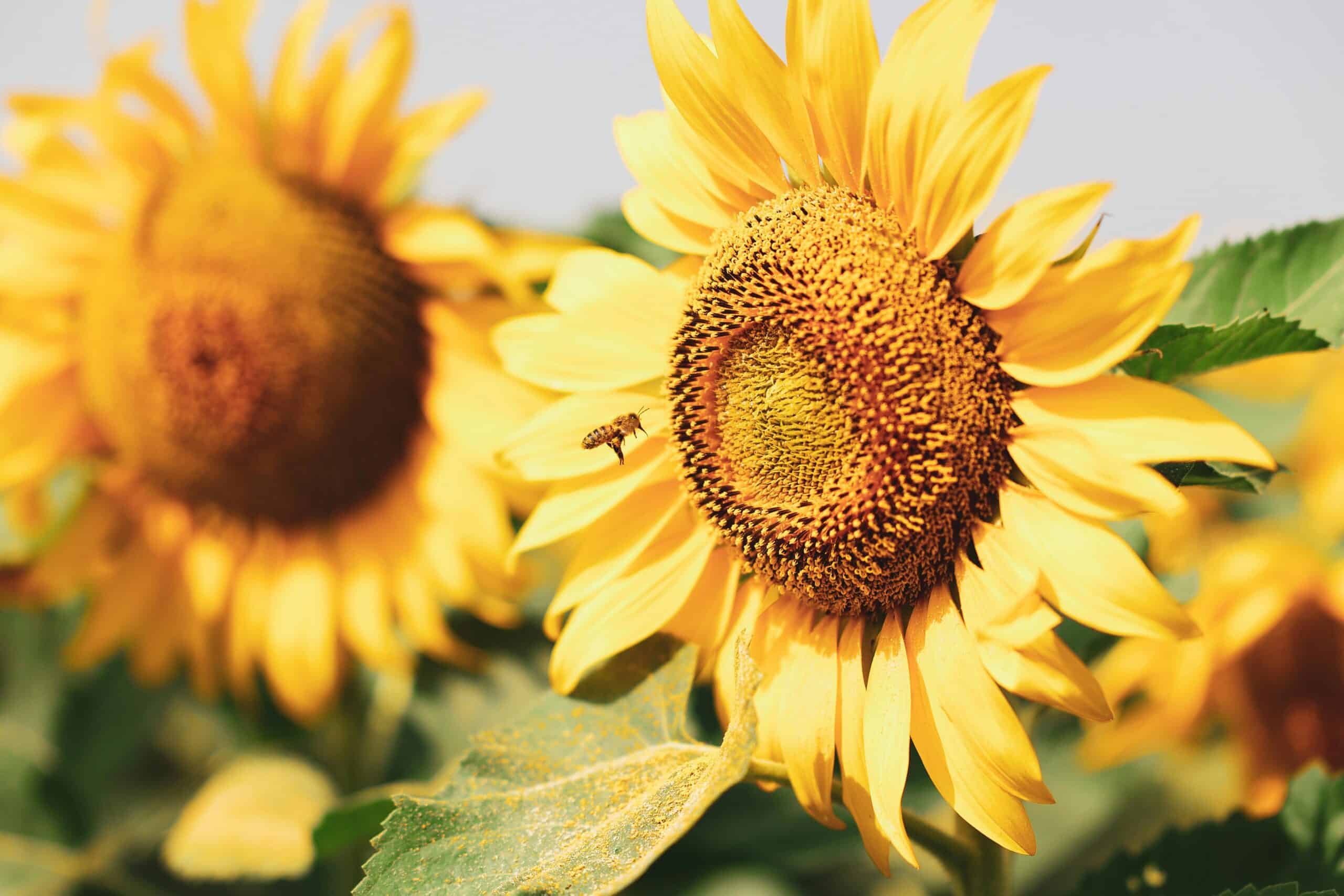 Making your hospitality business more sustainable - does it really matter?
